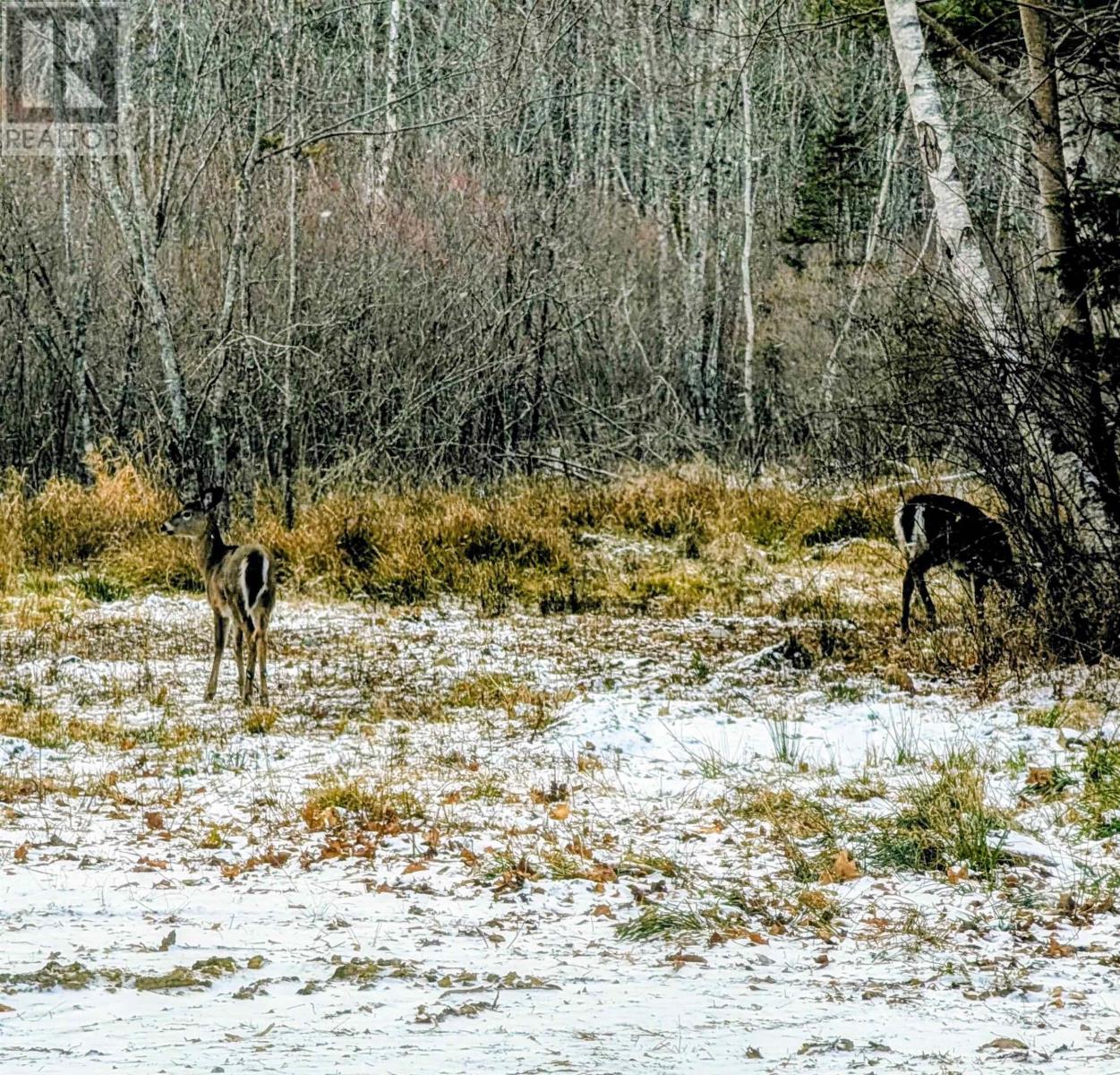 Property 21 of 21 of 165 St. Phillips Street