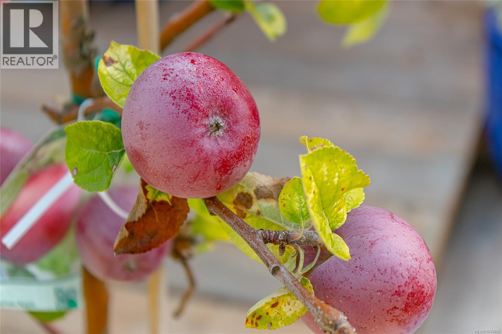 #42 450 Stanford Ave E - 57