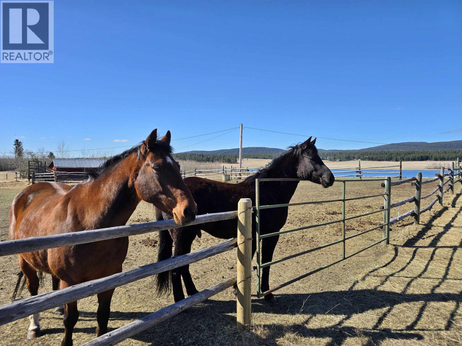 1616 MALLARD DRIVE - 38