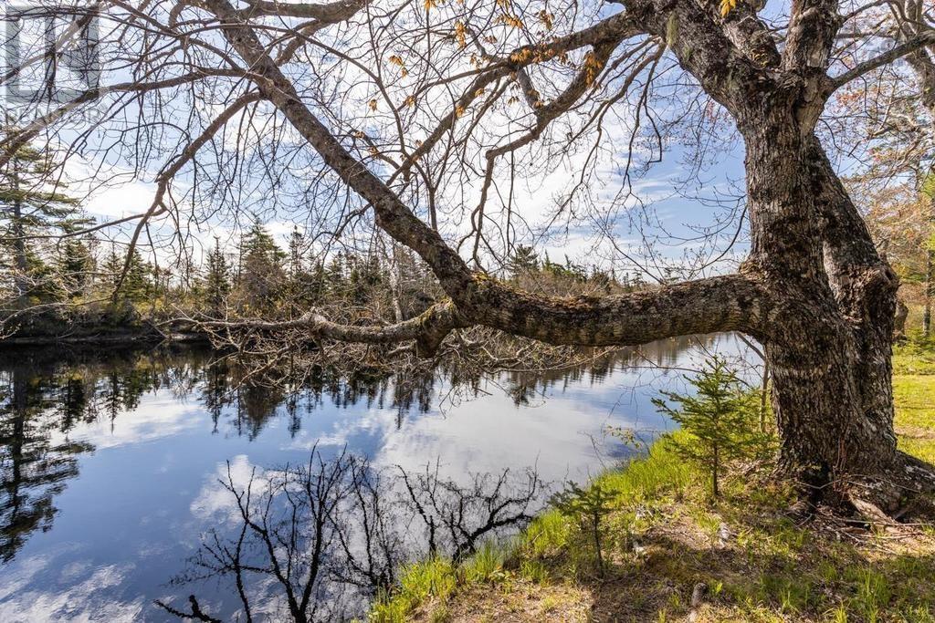 1256 Upper Clyde Road - 5