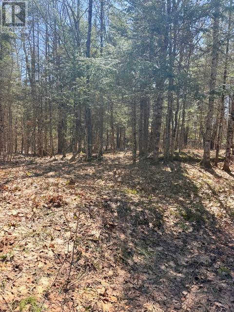 1464 BUCKSLIDE ROAD - photo 4
