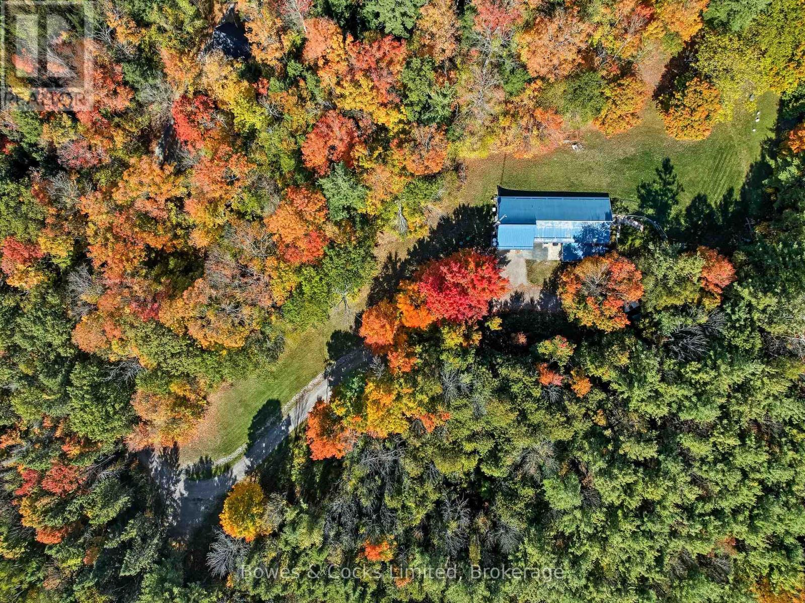 511 CONCESSION ROAD 12 E - Image 3