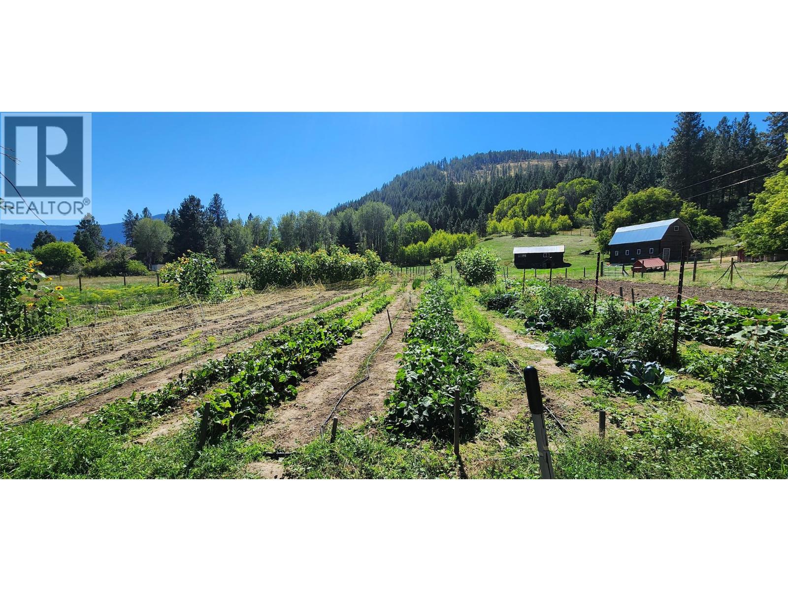 3450 Hardy Mountain Road - 39
