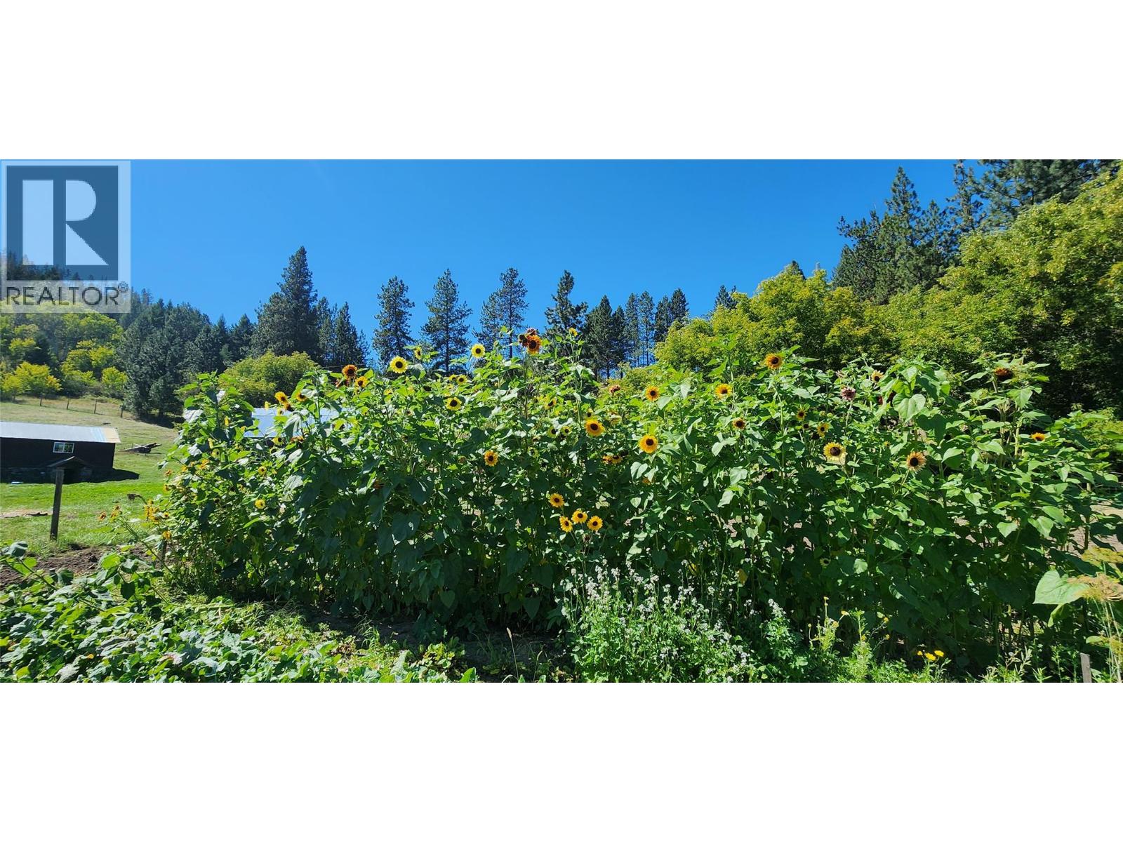 3450 Hardy Mountain Road - 42