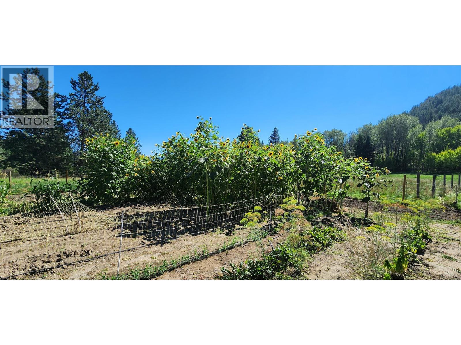 3450 Hardy Mountain Road - 43