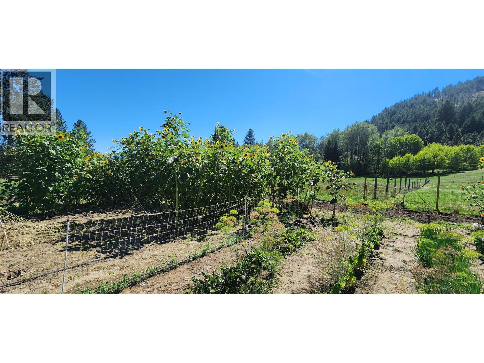 3450 Hardy Mountain Road - 44