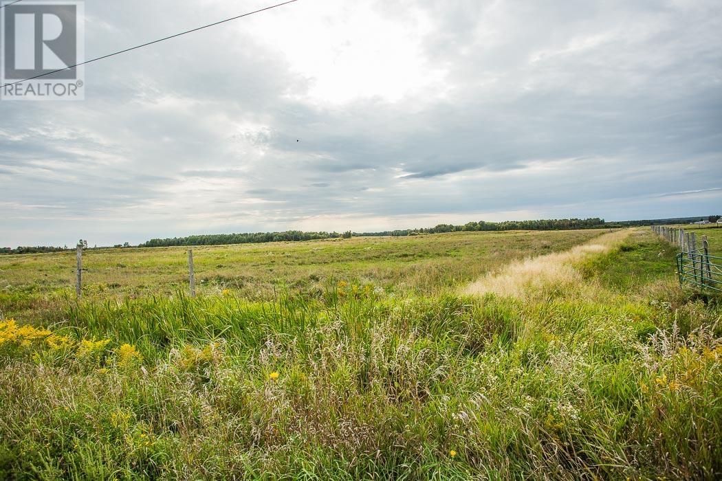 West Side MacLennan Rd/South Side Government Rd, Property 4 — photo 20