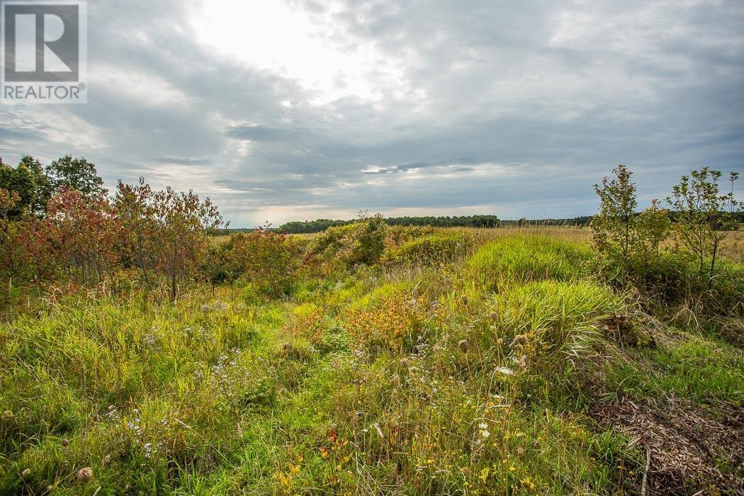 West Side MacLennan Rd/South Side Government Rd, Property 4 — photo 16