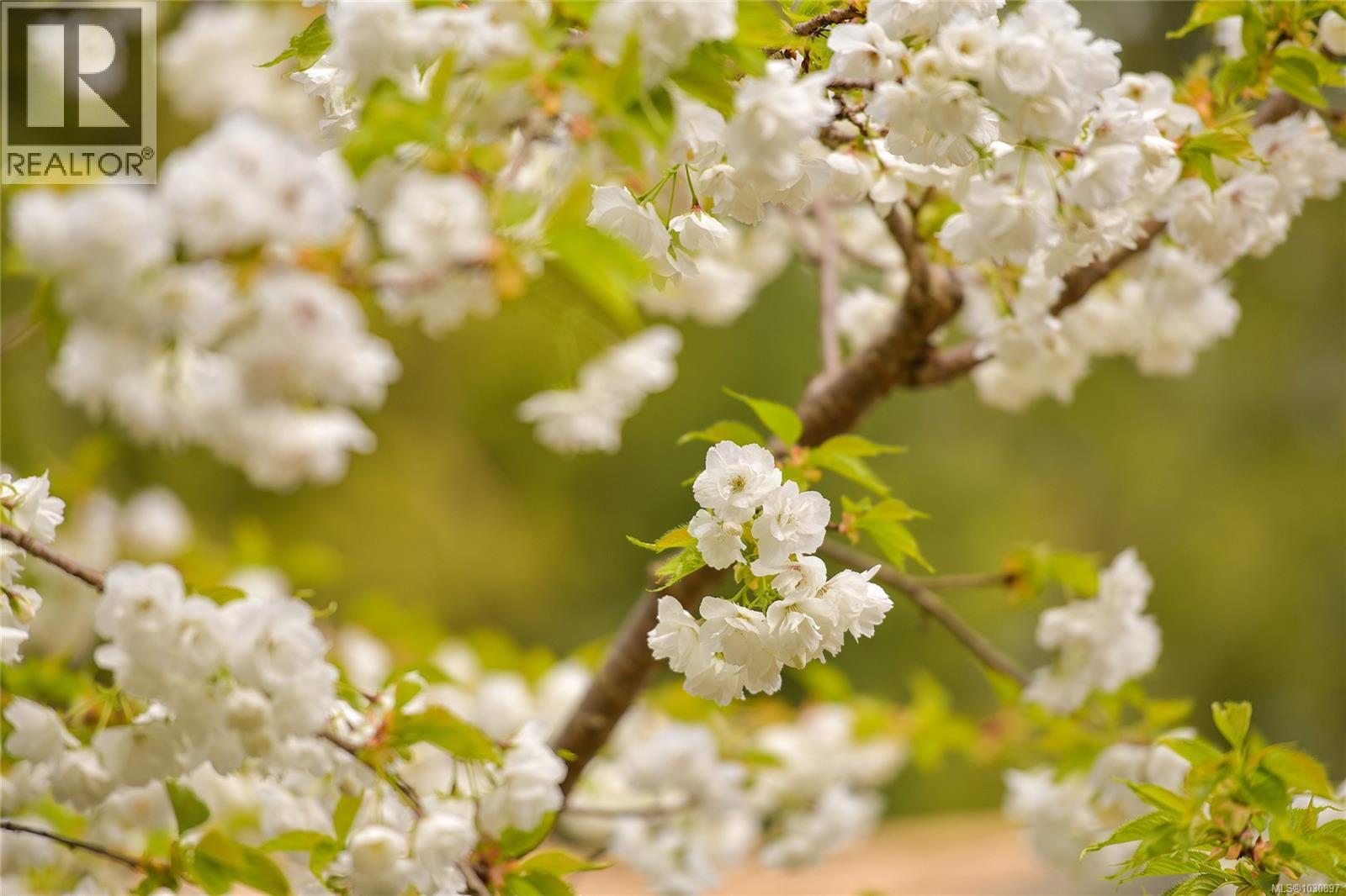 514 Aya Reach Rd - 52