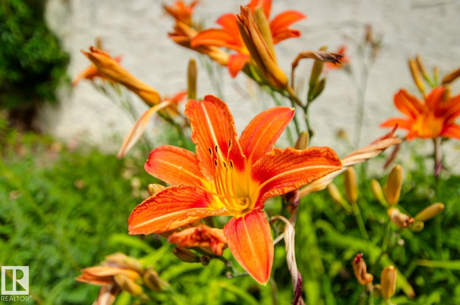 11707 29 AV NW NW, Edmonton