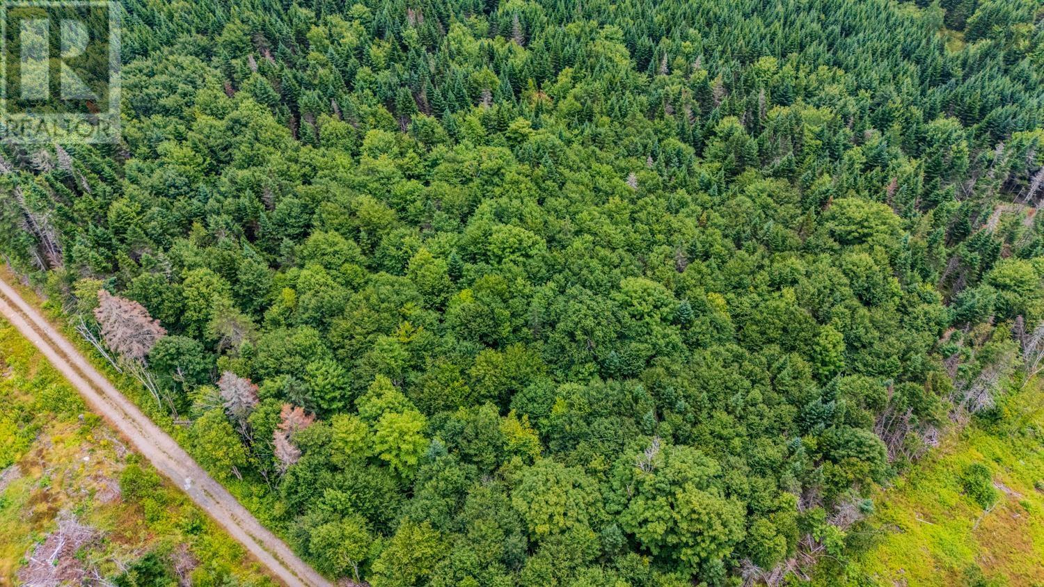 Property 14 of 17 of 676 WESTCHESTER Road