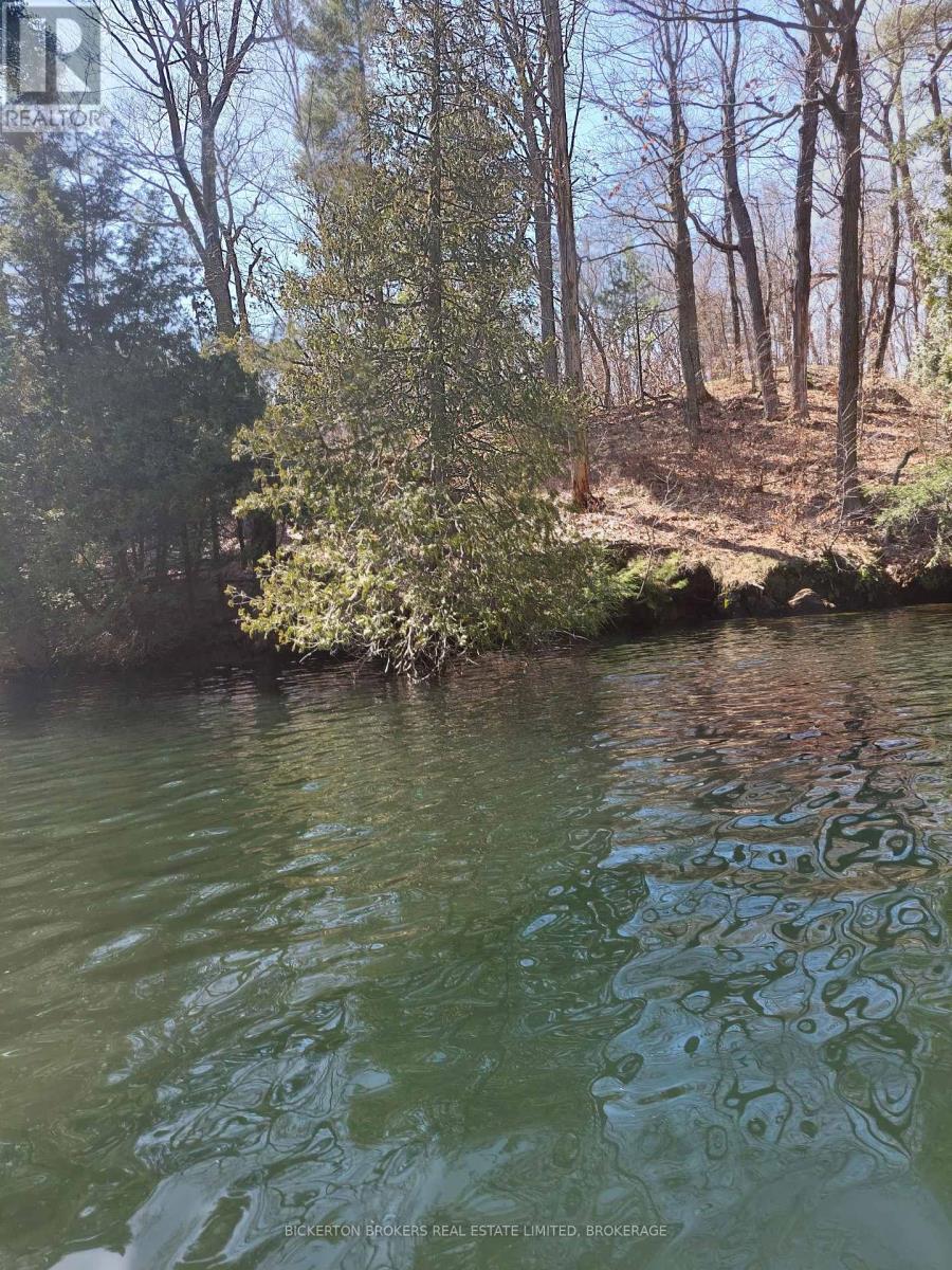 0 MURPHY'S ISLAND — photo 7