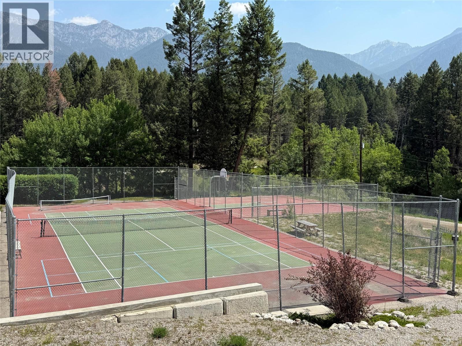 Tennis and Basketball