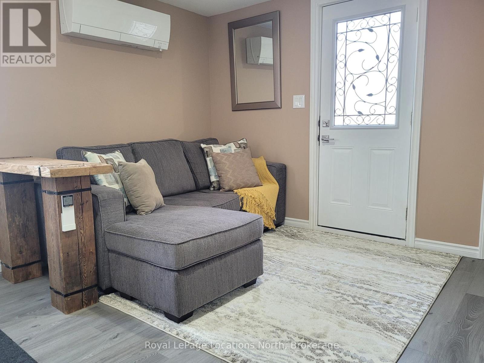 Pull out couch for guests
