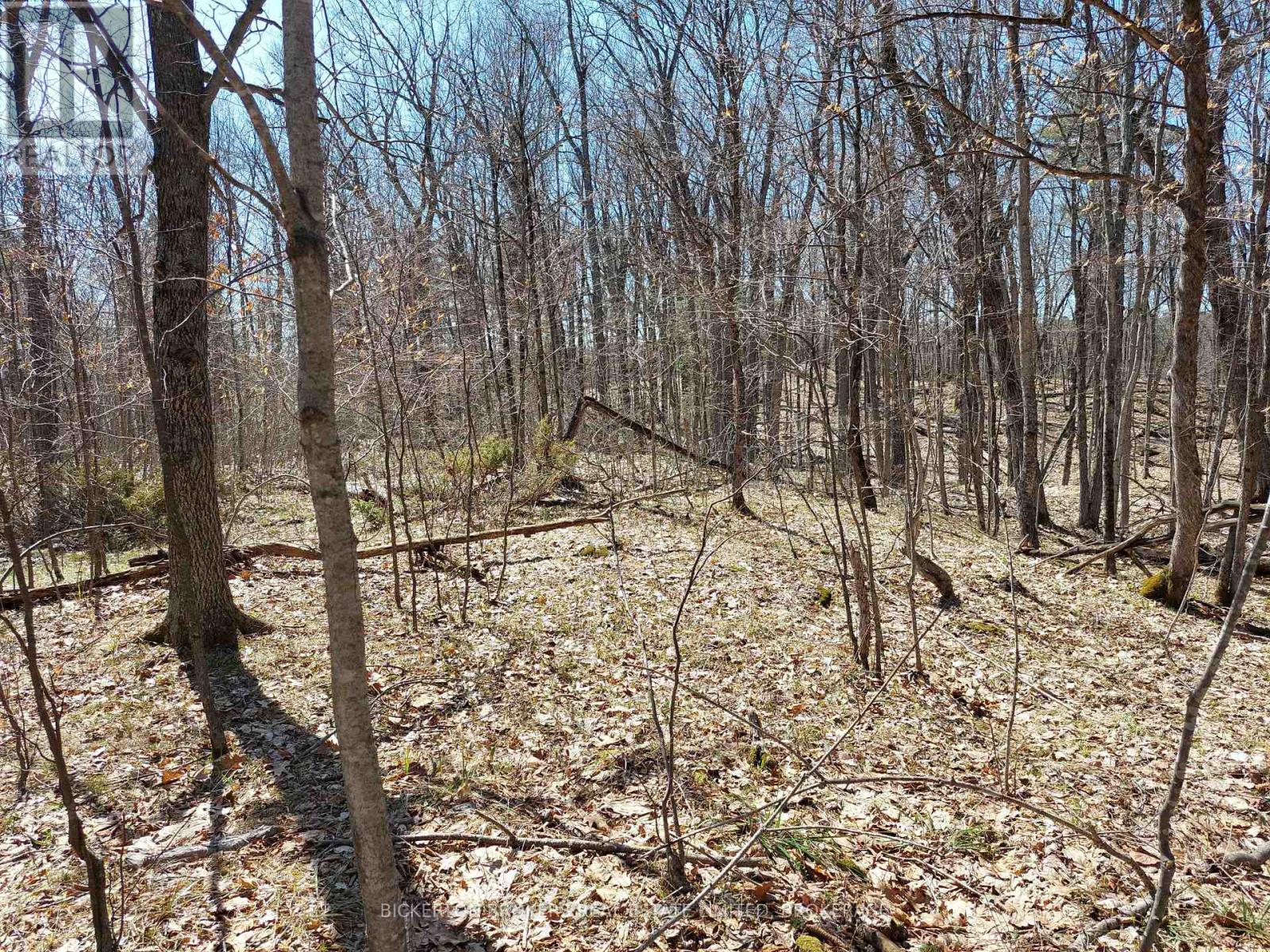0 MURPHY'S ISLAND — photo 18