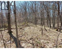 0 Murphy's Island, Leeds And The Thousand Islands, ON K0H2N0 Photo 18