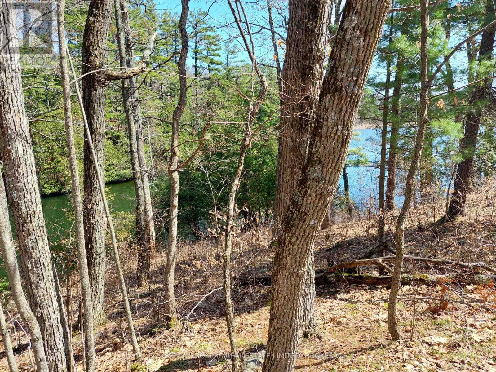 0 MURPHY'S ISLAND — photo 16