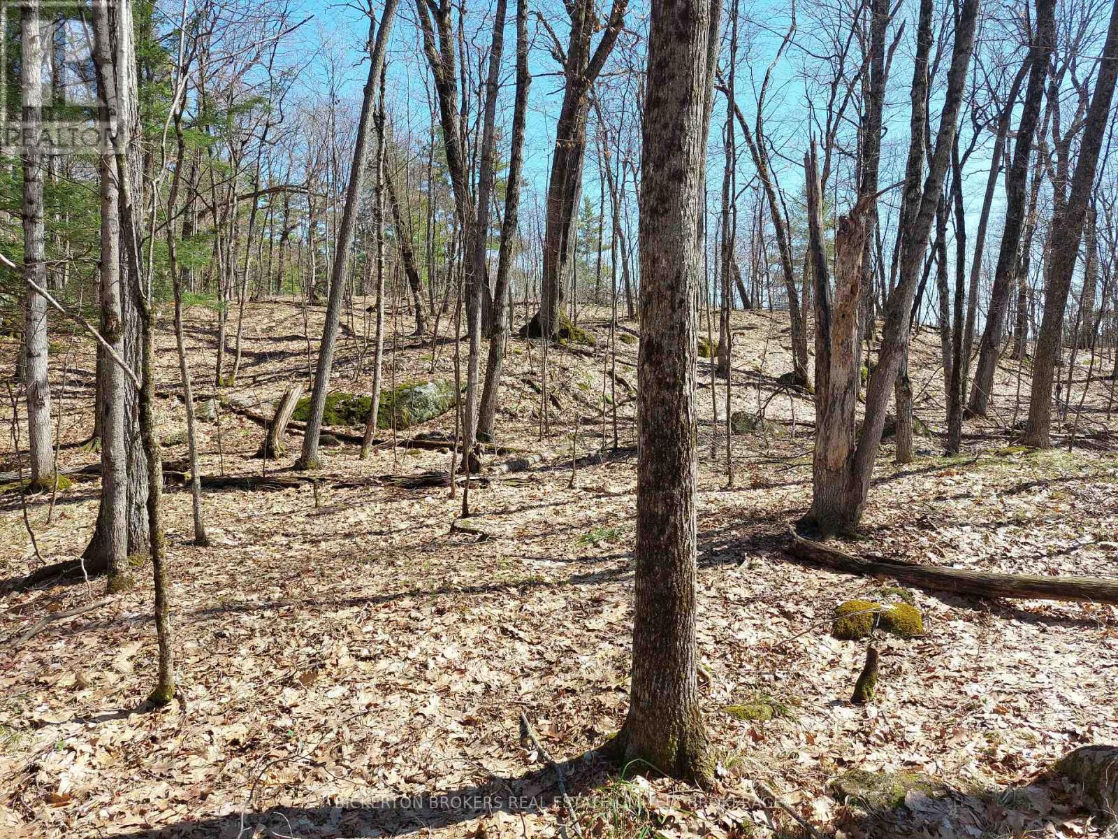 0 MURPHY'S ISLAND — photo 21