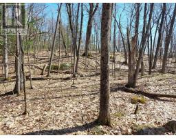 0 Murphy's Island, Leeds And The Thousand Islands, ON K0H2N0 Photo 21