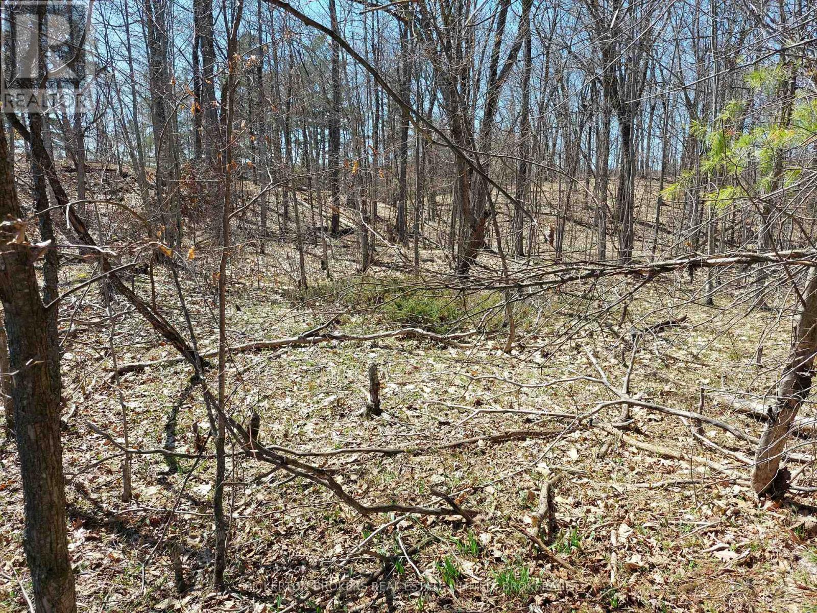 0 MURPHY'S ISLAND — photo 10