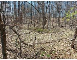 0 Murphy's Island, Leeds And The Thousand Islands, ON K0H2N0 Photo 10