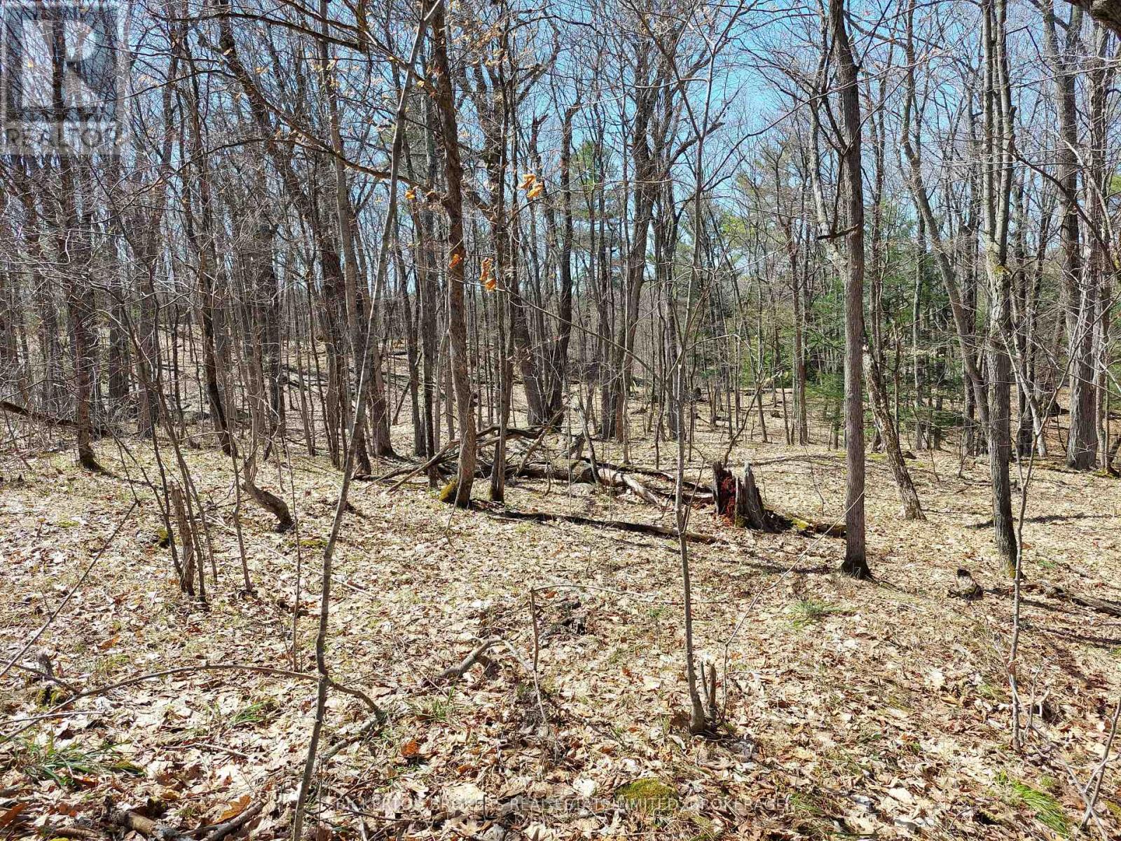 0 MURPHY'S ISLAND — photo 17