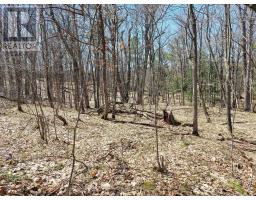 0 Murphy's Island, Leeds And The Thousand Islands, ON K0H2N0 Photo 17