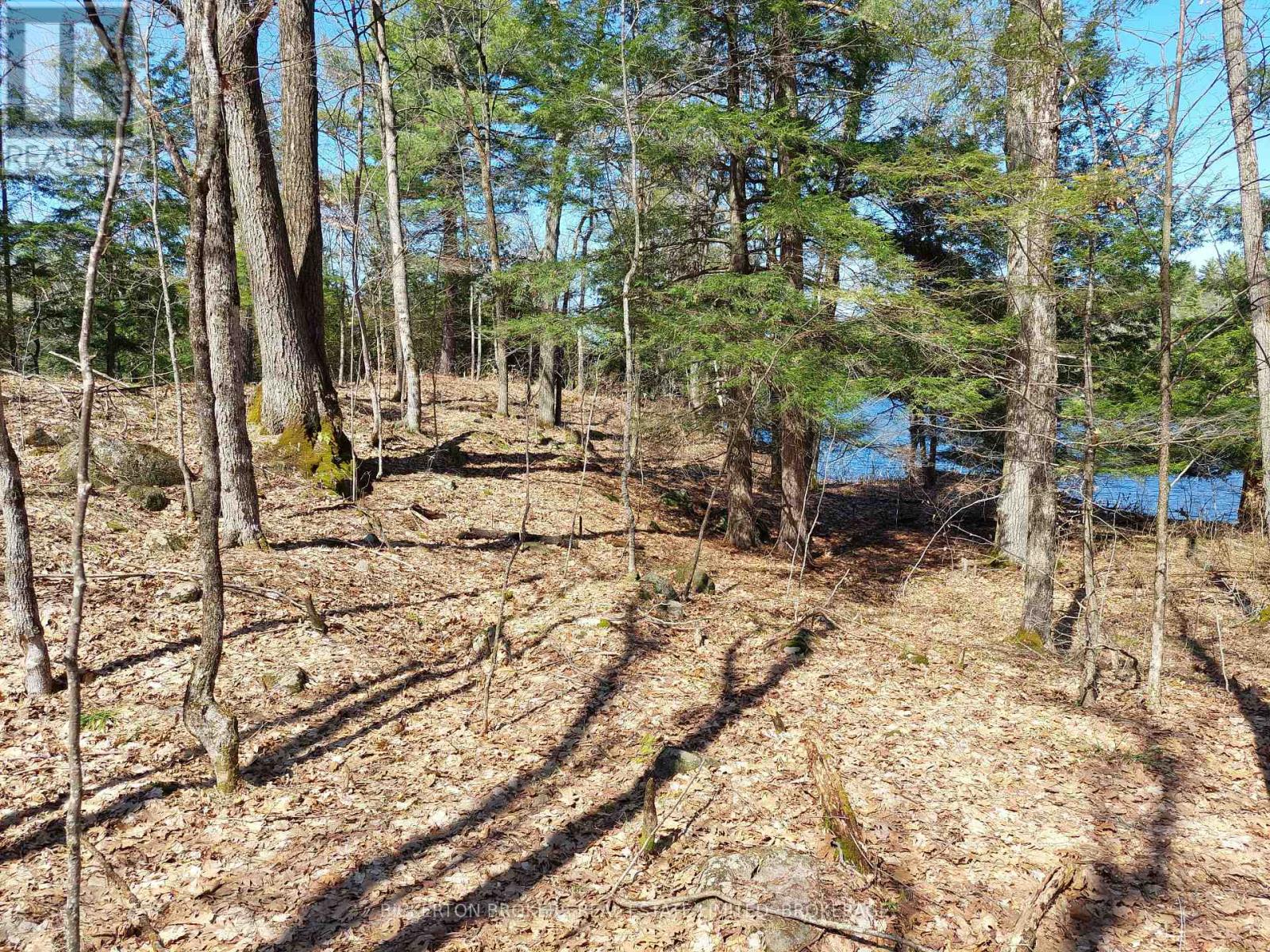 0 MURPHY'S ISLAND — photo 20