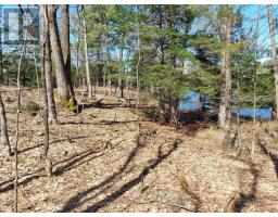 0 Murphy's Island, Leeds And The Thousand Islands, ON K0H2N0 Photo 20