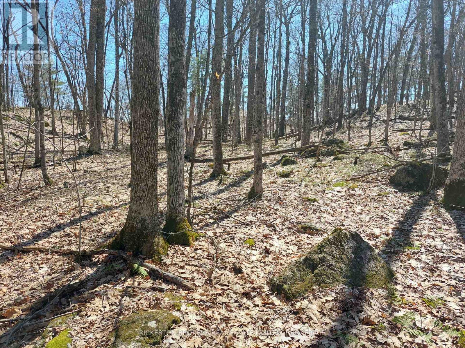 0 MURPHY'S ISLAND — photo 19