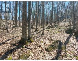 0 Murphy's Island, Leeds And The Thousand Islands, ON K0H2N0 Photo 19