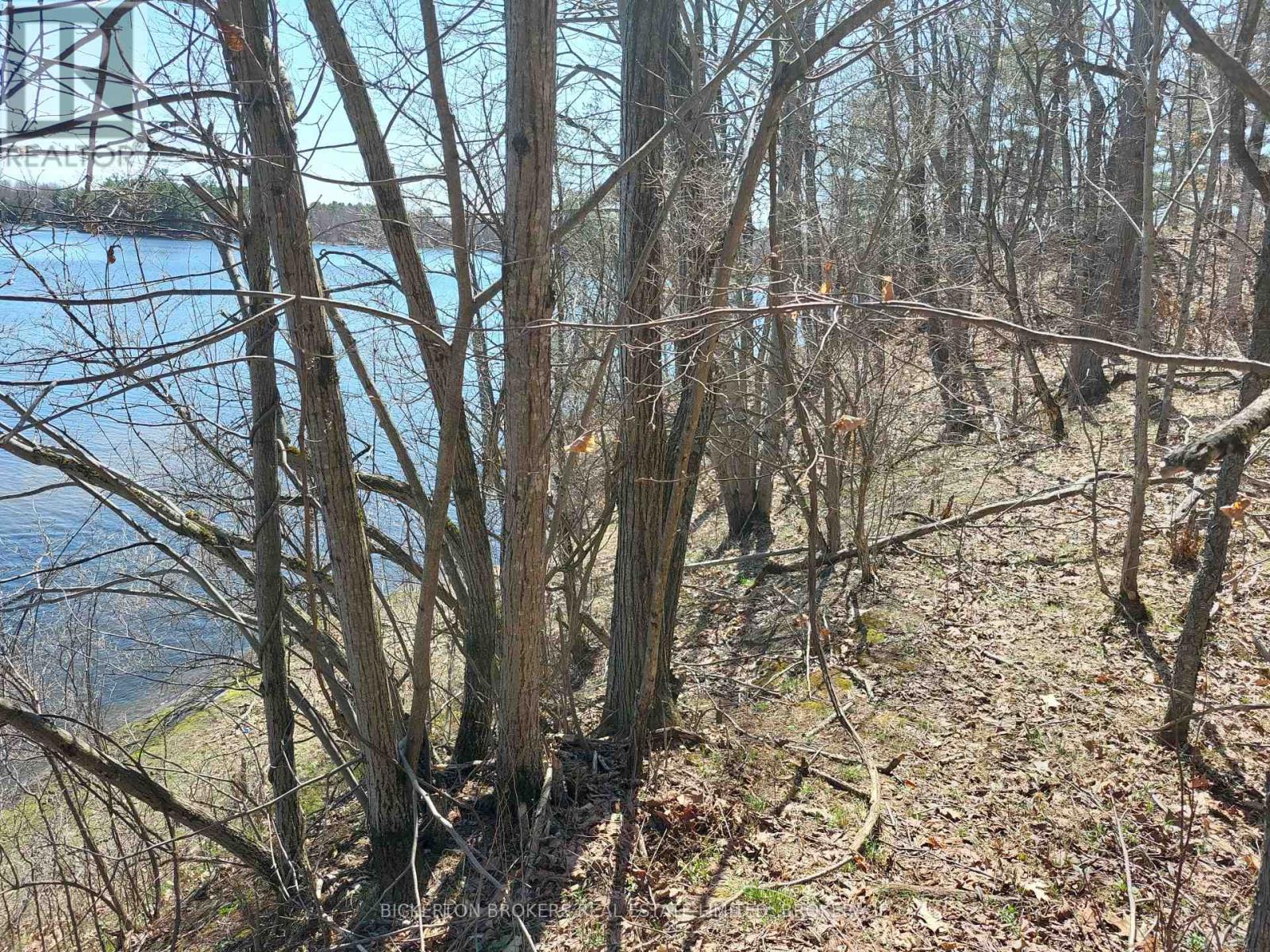 0 MURPHY'S ISLAND — photo 11