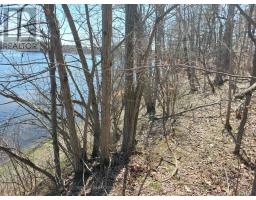 0 Murphy's Island, Leeds And The Thousand Islands, ON K0H2N0 Photo 11