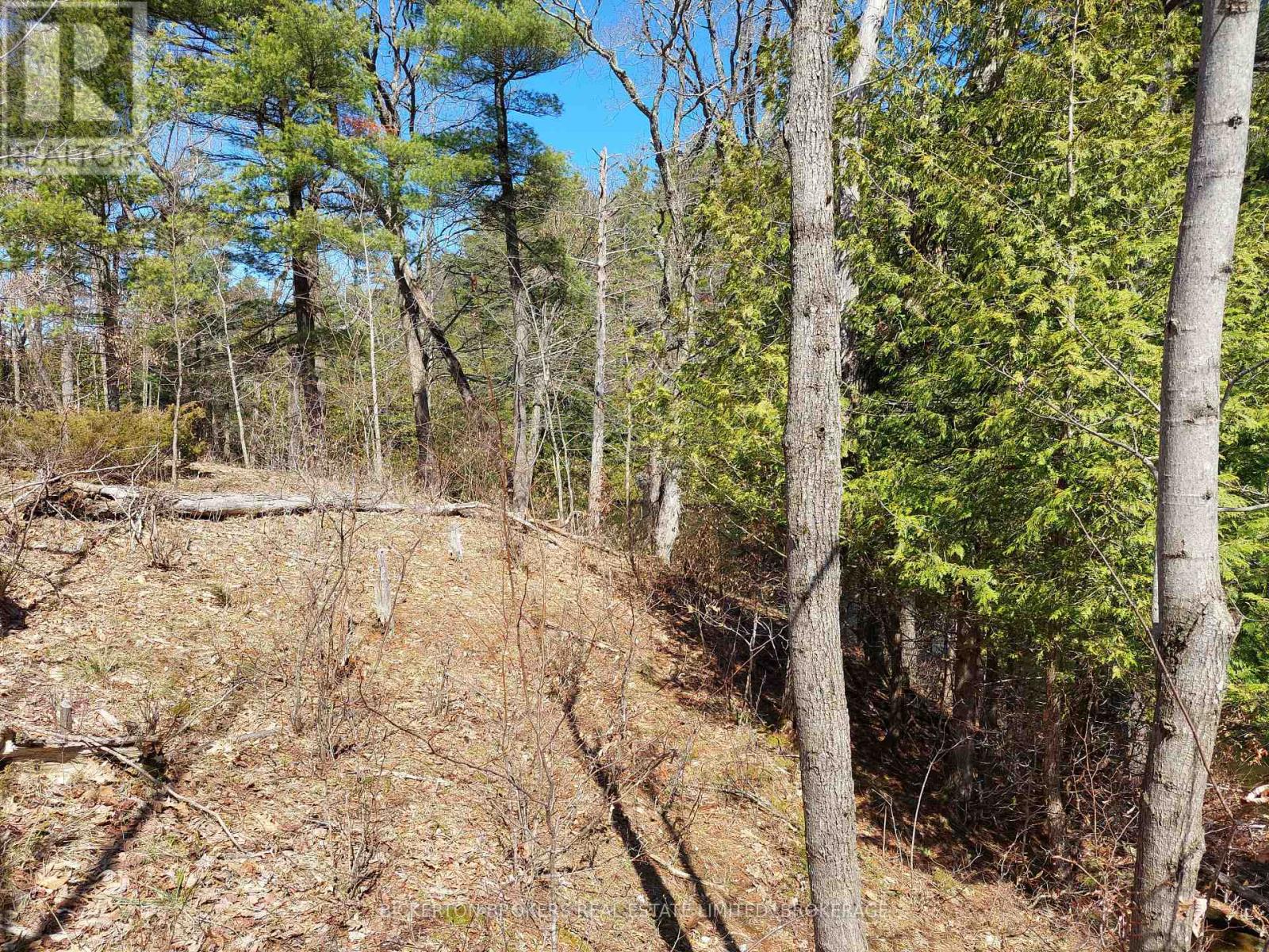 0 MURPHY'S ISLAND — photo 13