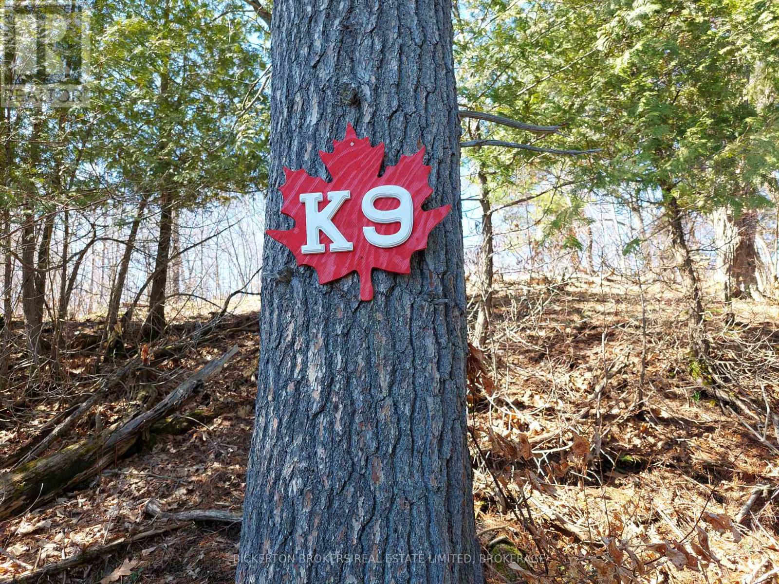 0 MURPHY'S ISLAND — photo 24
