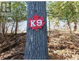 0 Murphy's Island, Leeds And The Thousand Islands, ON K0H2N0 Photo 24