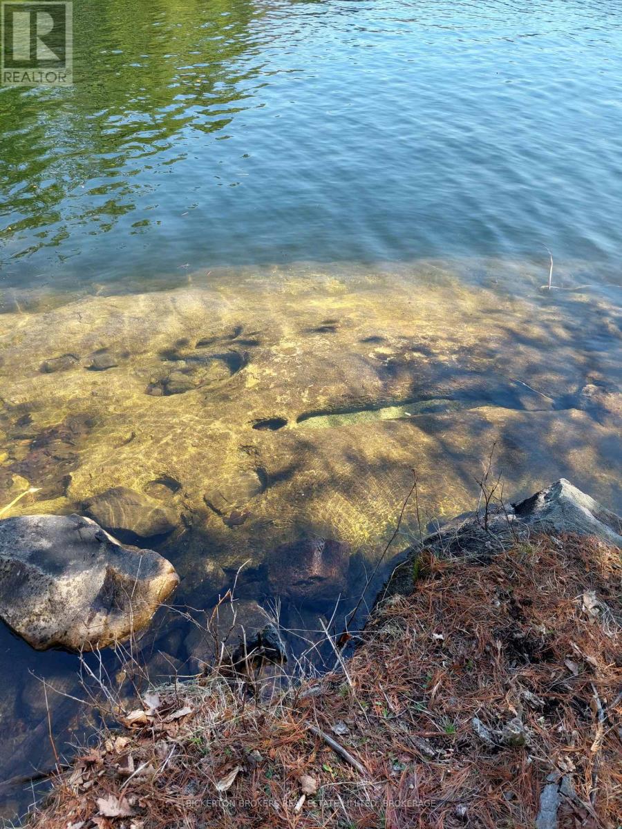 0 MURPHY'S ISLAND — photo 22