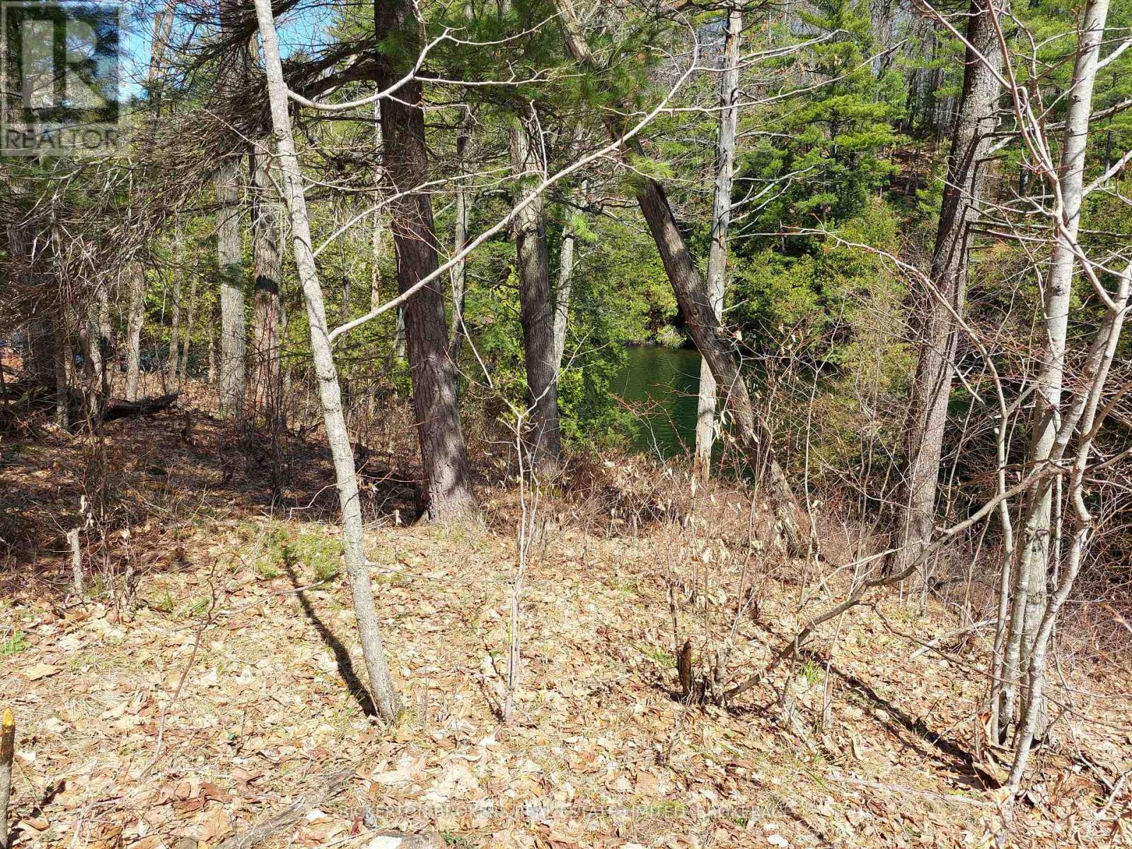 0 MURPHY'S ISLAND — photo 14