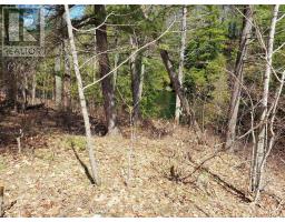0 Murphy's Island, Leeds And The Thousand Islands, ON K0H2N0 Photo 14