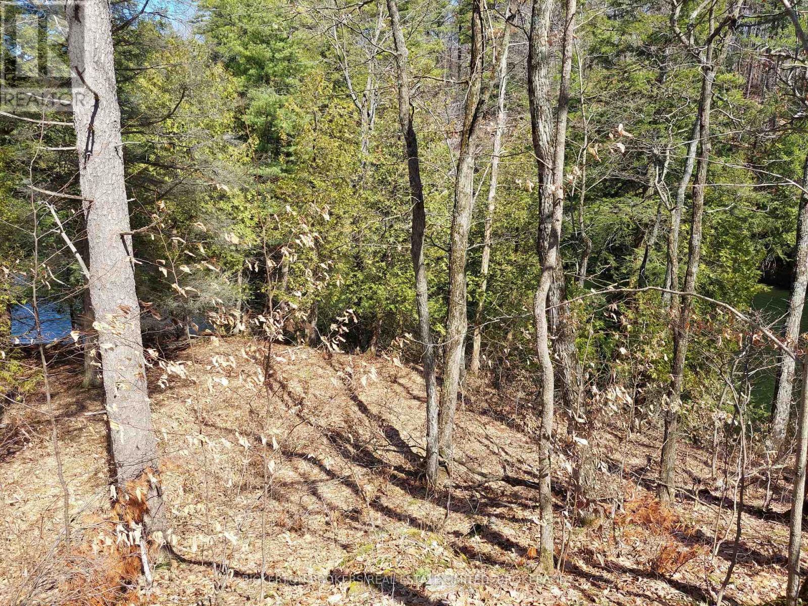0 MURPHY'S ISLAND — photo 15
