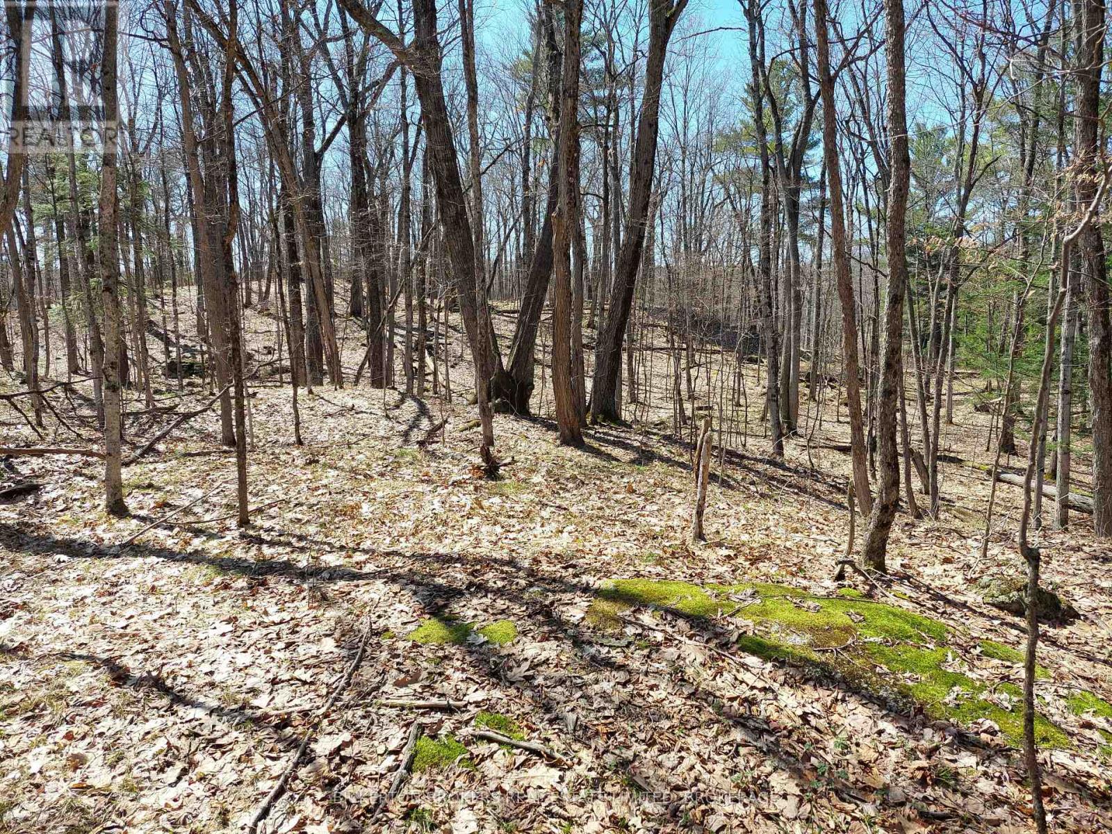 0 MURPHY'S ISLAND — photo 40
