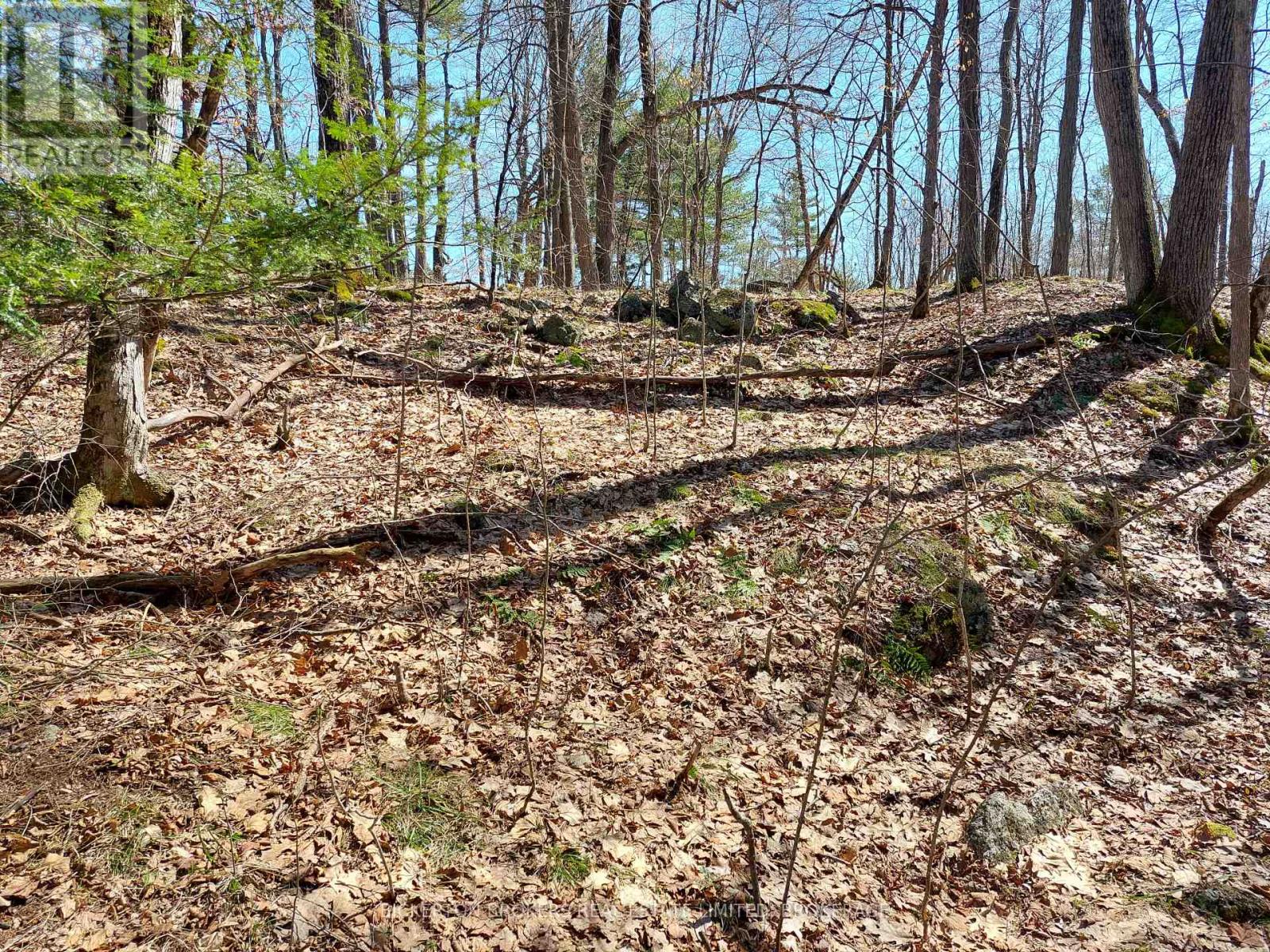 0 MURPHY'S ISLAND — photo 38