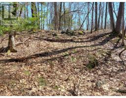 0 Murphy's Island, Leeds And The Thousand Islands, ON K0H2N0 Photo 38