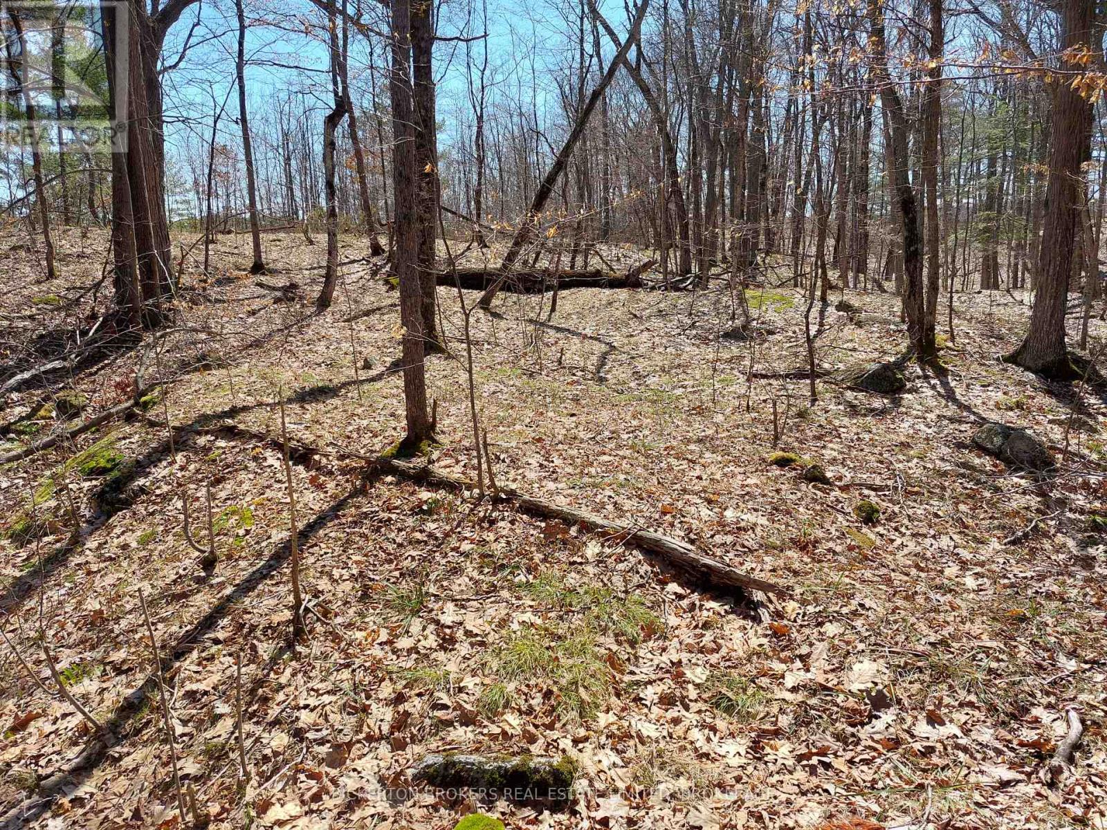 0 MURPHY'S ISLAND — photo 39