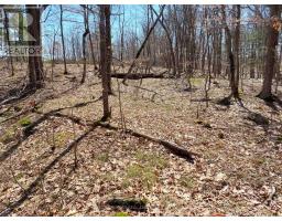 0 Murphy's Island, Leeds And The Thousand Islands, ON K0H2N0 Photo 39