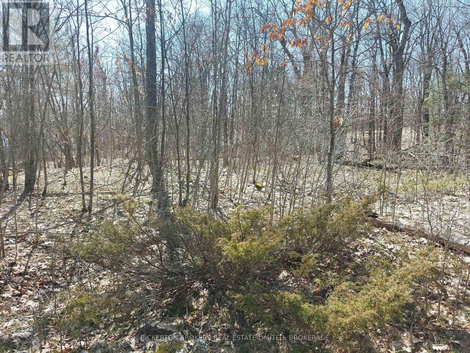 0 MURPHY'S ISLAND — photo 41