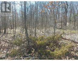 0 Murphy's Island, Leeds And The Thousand Islands, ON K0H2N0 Photo 41