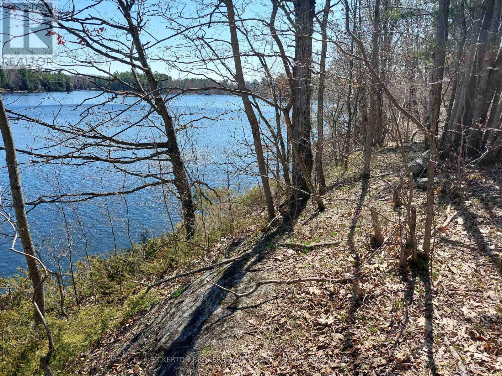 0 MURPHY'S ISLAND — photo 9