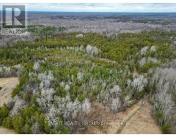 755 Naphan Road, Tyendinaga, ON K0K2Y0 Photo 15