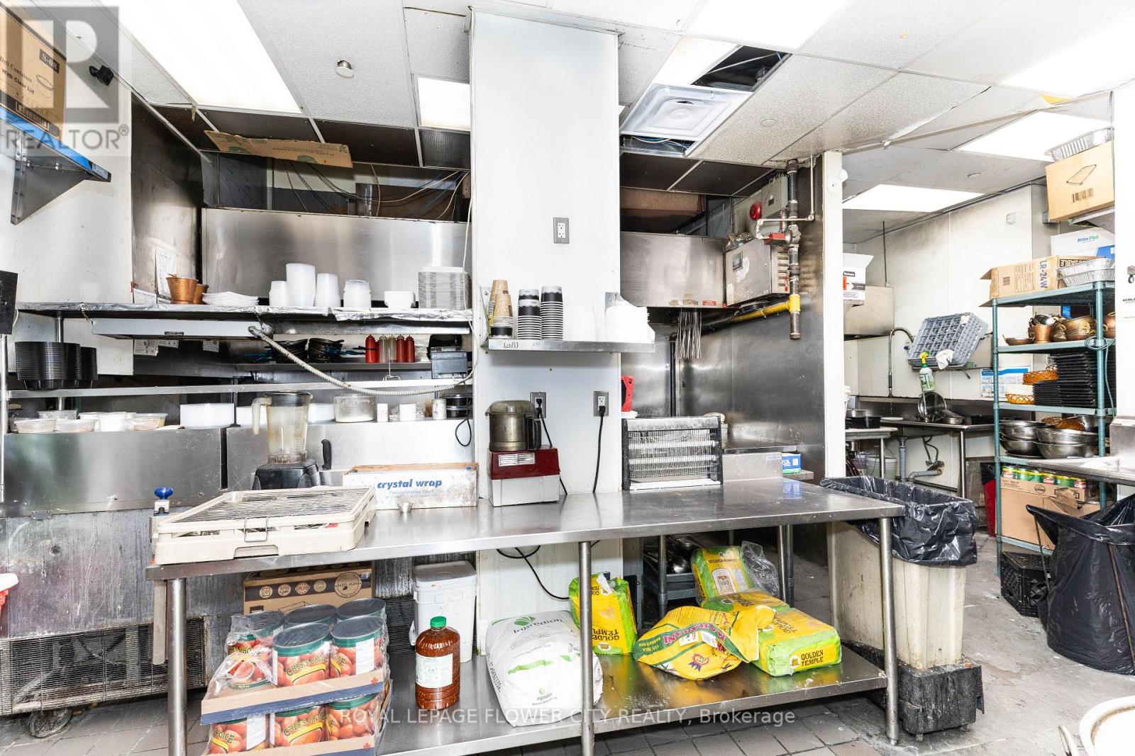 Main  Kitchen 14' hood